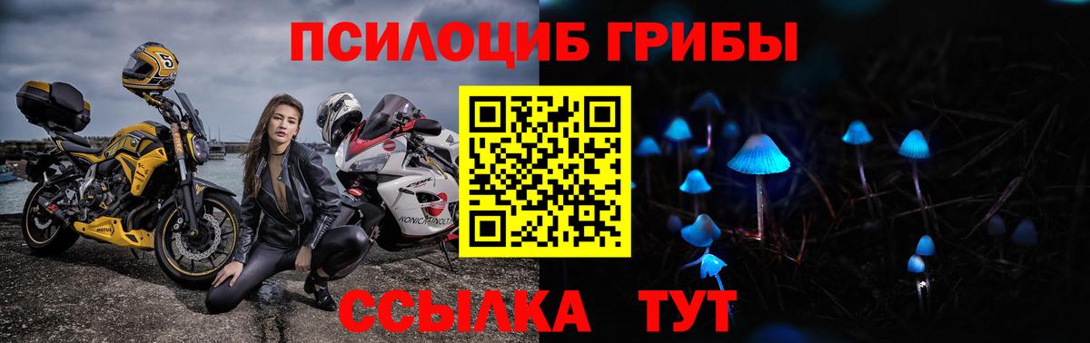 где можно купить   Вход с VPN  Ачинск  Галлюциногенные грибы ЛСД 